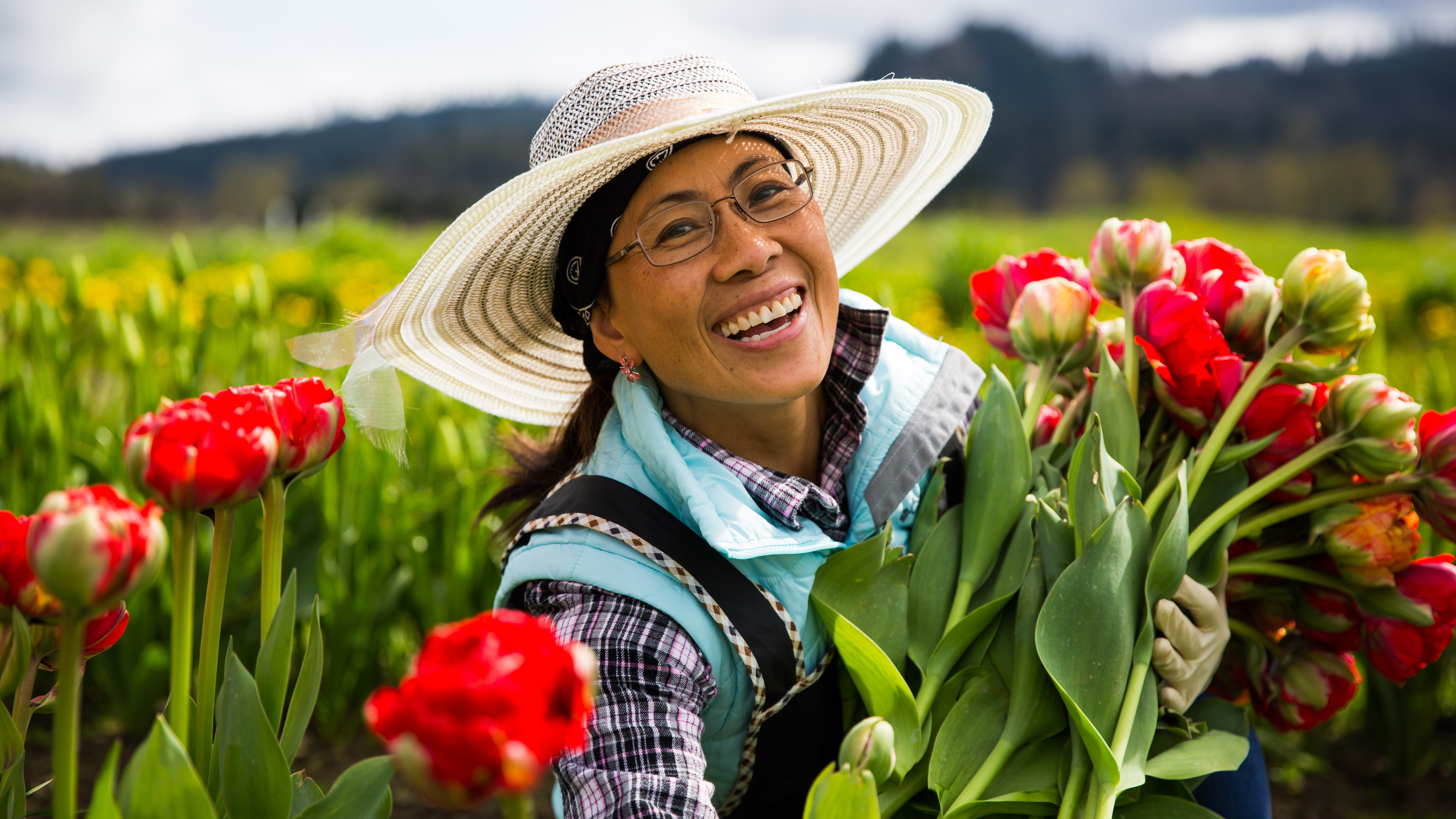 The program will also be available for streaming online.